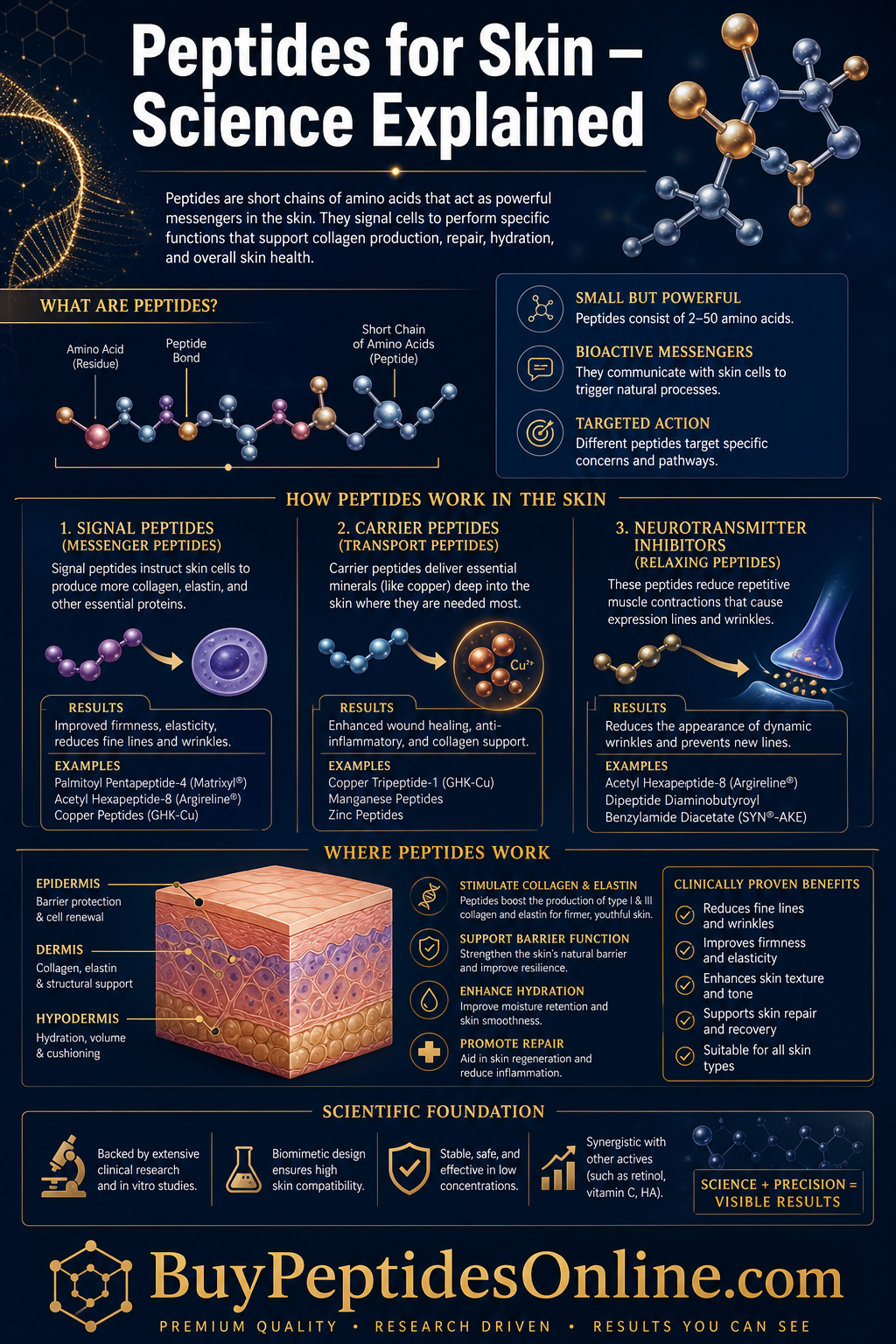 Peptides for Skin — Science Explained | GHK-Cu Online