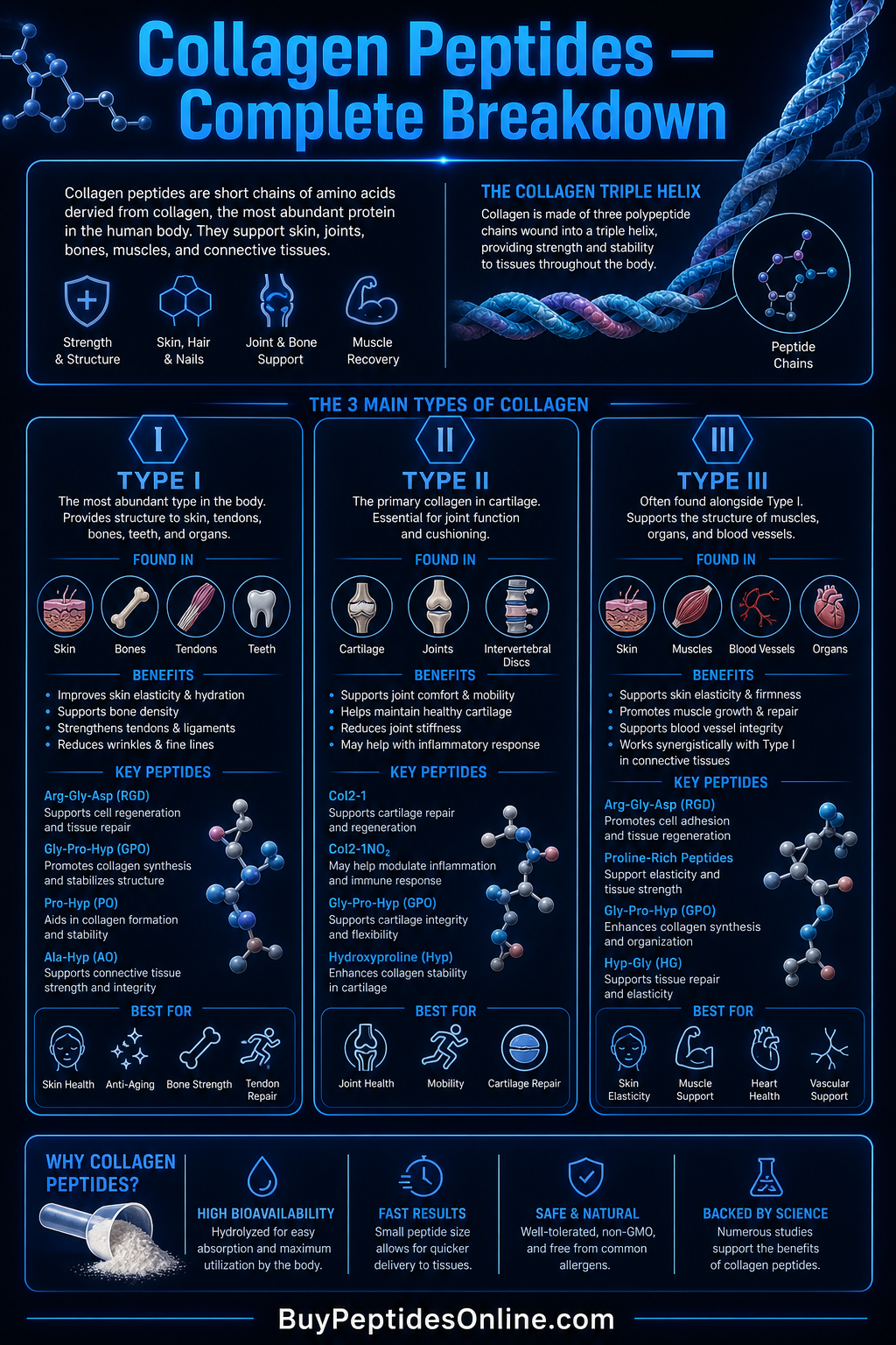 Collagen Peptides — Cheat Sheet | Anti-Aging Peptides